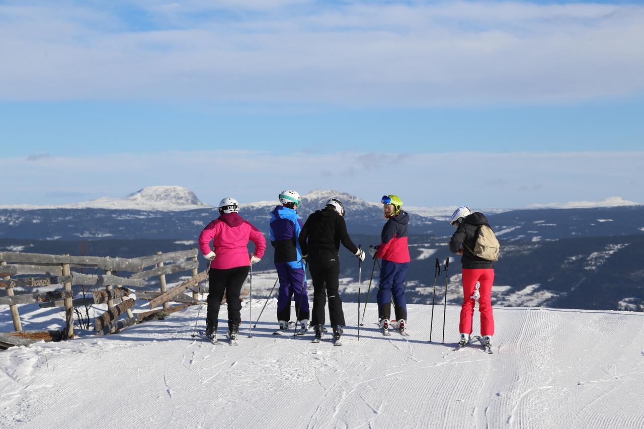 Ferieanlegg Gomobu Fjellstue