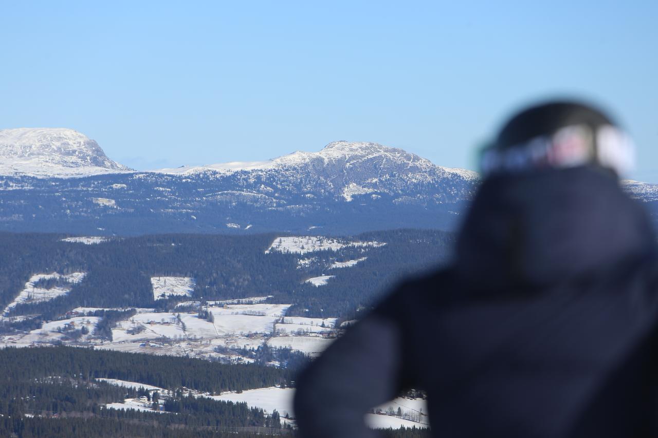 Gomobu Fjellstue 3*