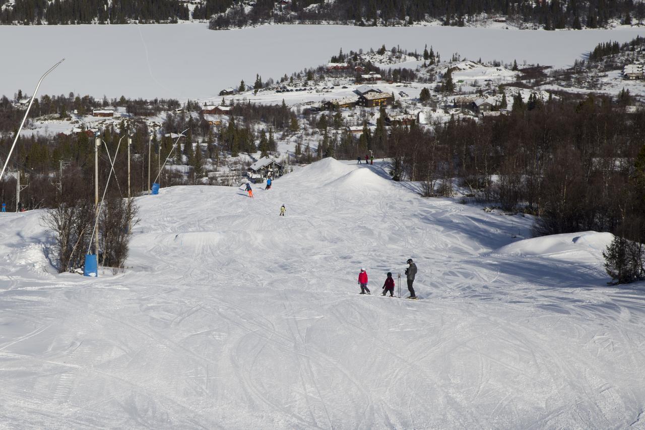 Ferieanlegg Gomobu Fjellstue